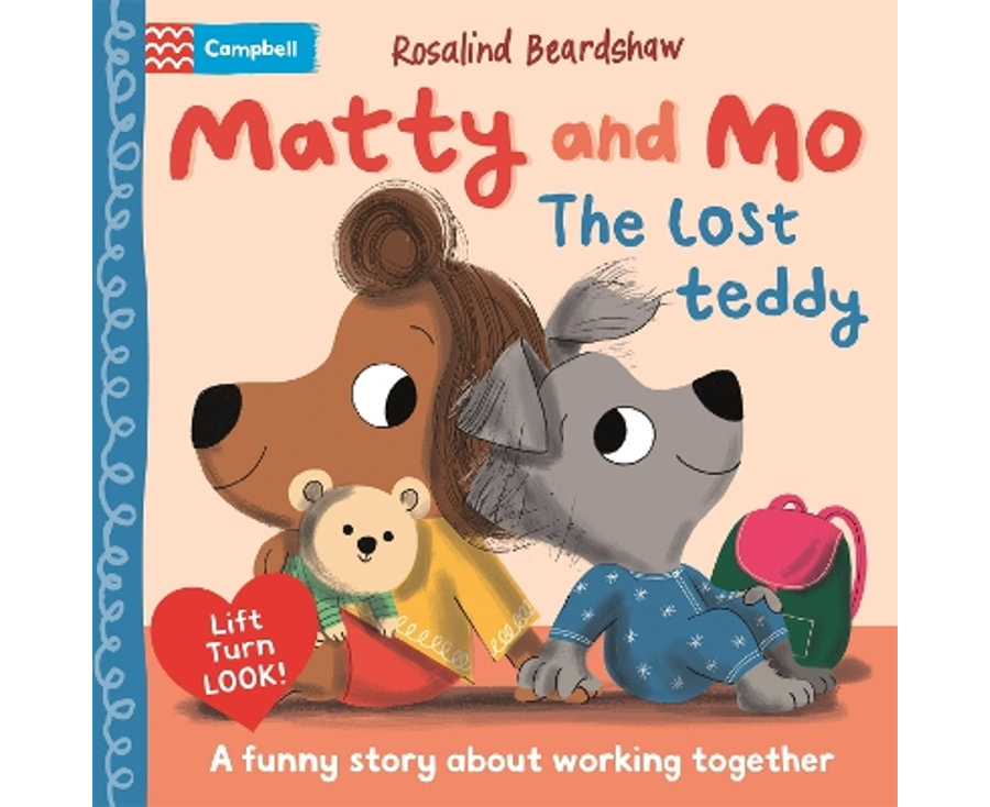 The Lost Teddy: A funny lift-the-flap story about learning to play together
