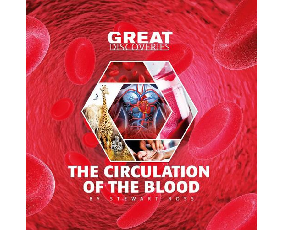 The circulation of blood